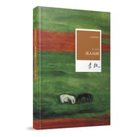 书籍 出入山河的封面