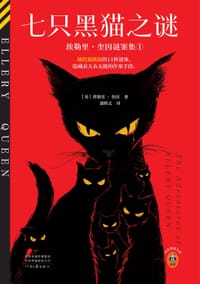 书籍 七只黑猫之谜的封面