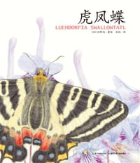 虎凤蝶 - 馆野鸿