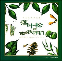 落叶松和他的伙伴们