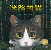 迷路的猫（平）