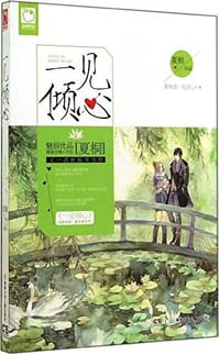 书籍 一见倾心的封面