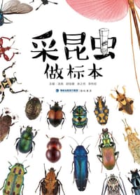 采昆虫 做标本 - 汤亮