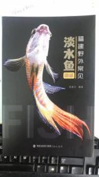 福建野外常见淡水鱼图鉴