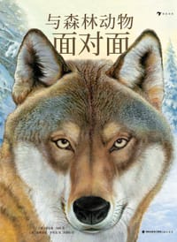 与森林动物面对面