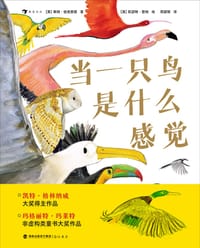 当一只鸟是什么感觉