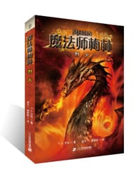 魔法师梅林  烈火