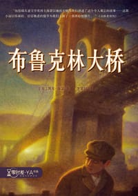 书籍 布鲁克林大桥的封面