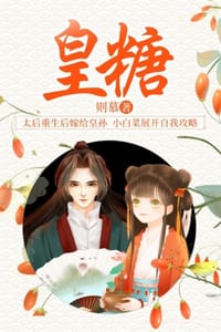 书籍 皇糖的封面