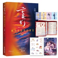 书籍 盲灯的封面