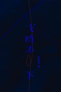 飞鸥不下 - 回南雀