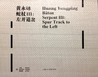 黄永砅 蛇杖Ⅲ:左开道岔 - 黄永砅
