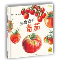 红通通的番茄 - 岩佐祐子