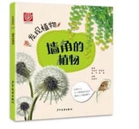 发现植物 墙角的植物