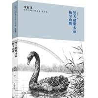沈石溪臻奇动物小说文集·生存卷：黑天鹅紫水晶、梅里山鹰 - 沈石溪