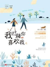 书籍 我打赌你喜欢我的封面