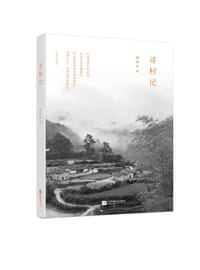 寻村记
