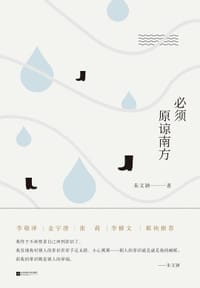 书籍 必须原谅南方的封面