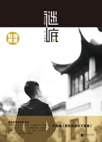 书籍 谜底的封面