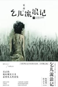 书籍 乞儿流浪记的封面