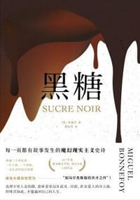 黑糖 - [法]米盖尔