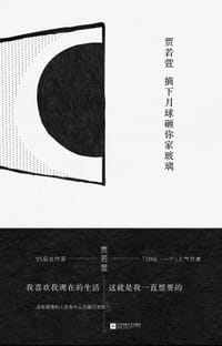 书籍 摘下月球砸你家玻璃的封面