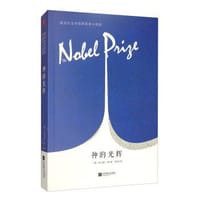 书籍 神的光辉的封面