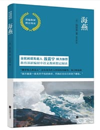 书籍 海燕的封面