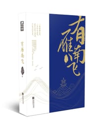 有雁南飞 - 北风三百里