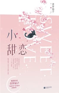 书籍 小甜恋的封面