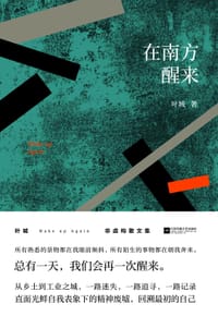 在南方醒来 - 叶城