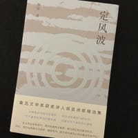 书籍 定风波的封面