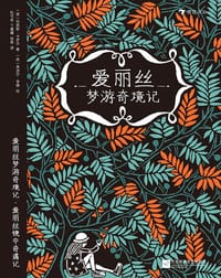 爱丽丝梦游奇境记·爱丽丝镜中奇遇记 - [英] 刘易斯·卡罗尔 著