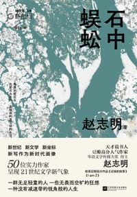 书籍 石中蜈蚣的封面