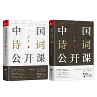 书籍 中国诗词公开课的封面