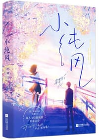 小纯风（晋江黑马作家宋墨归人气青春纯甜之作/恬静学霸叶桑×天之骄子陈西湛/新增番外/风炫