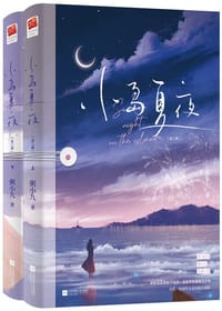 书籍 小岛夏夜的封面