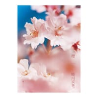 樱 - 蜷川实花