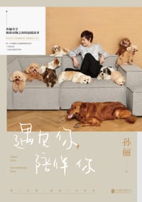 书籍 遇见你，陪伴你的封面