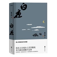 书籍 白夜的封面