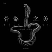 骨骼之美 - [日] 汤泽英治 摄, [日] 东野晃典 文