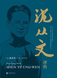 沈从文评传