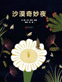 沙漠奇妙夜