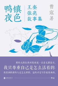 书籍 鸭镇夜色的封面