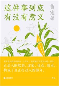 书籍 这件事到底有没有意义的封面
