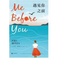 书籍 遇见你之前的封面