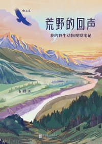 书籍 荒野的回声的封面