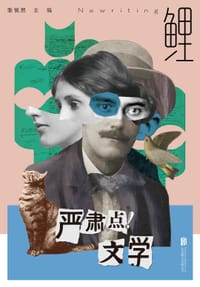 书籍 鲤·严肃点！文学的封面