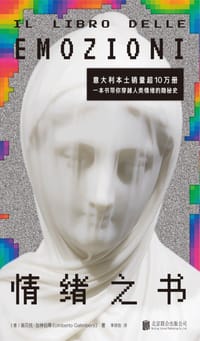 情绪之书