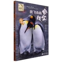 我飞南极找企鹅 - 保冬妮